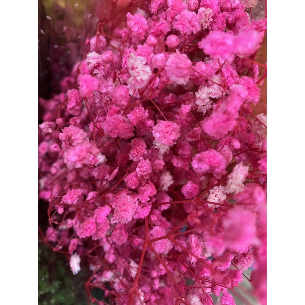 Pink Baby Breath | 60 Grams Dried Flower Wholesale 
